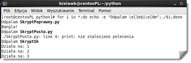 Linux-Problem-z-Shebang-Python